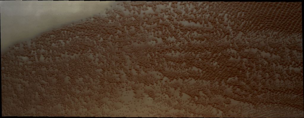 The "North Polar Erg" (Absolute Natural Colors; credits for the additional process. and color.: Dr Paolo C. Fienga - Lunar Explorer Italia)
Caption NASA:"This VIS image shows a small part of the North Polar Sand Sea [or Erg]. In this Region individual dunes are coalescing into large dune groups".

Coord.: 77,0° North Lat. and 309,5° East Long.
Parole chiave: Mars from orbit - North Polar Features - Erg