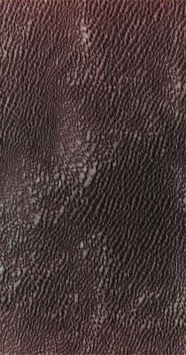 Aspledon Undae (Absolute Natural Colors; credits for the additional process. and color.: Dr Paolo C. Fienga/Lunar Explorer Italia/Italian Planetary Foundation)
In this VIS image, taken by the NASA - Mars Odyssey Orbiter on February, 27th, 2014, and during its 54.150th orbit around the Red Planet, we can see a small portion of a Martian Region known as Aspledon Undae: one of the several large Dunefields located near the North Pole of Mars. The term Undae, as you can easily understand, comes from the Latin word "Unda" (---> Wave; plural Undae ---> Waves) and, in this specific case, as the image suggests quite clearly, means Dunes (better yet: Wave-shaped Dunes). 

Latitude (centered): 72,4562° North 
Longitude (centered): 307,9130° East 
Instrument: VIS 

This image (which is a crop taken from an Original Mars Odyssey Orbiter b/w and Map-Projected frame published on the NASA - Planetary Photojournal with the ID n. PIA 18237) has been additionally processed, magnified to aid the visibility of the details, contrast enhanced, Gamma corrected and then colorized in Absolute Natural Colors (such as the colors that a human eye would actually perceive if someone were onboard the NASA - Mars Odyssey Orbiter and then looked down, towards the Surface of Mars), by using an original technique created - and, in time, dramatically improved - by the Lunar Explorer Italia Team.
Parole chiave: Mars from orbit - North Polar Features - Erg (Aspledon Undae)