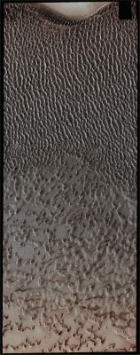 Spring over the North Polar Erg (Absolute Natural Colors; credits for the additional process. and color.: Dr Paolo C. Fienga - Lunar Explorer Italia/Italian Planetary Foundation)
In this VIS image, taken by the NASA - Mars Odyssey Orbiter on December, 1st, 2013, and during its 53.076th orbit around the Red Planet, we can see the Erg (---> Sea/Ocean of Dunes) that surrounds the North Polar Cap of Mars. It is Springtime, now, at the North Pole (---> in the Northern Hemisphere of Mars) and the Dunes are starting to lose their Frost cover. As the season continues towards Summer, the Dunes will appear darker and darker, as the Frost sublimates. 
The bright (and round, as we have found out using other frames) spot visible on the upper side of the picture should be just a patch of Permanent Ice which is located (and therefore, somehow, protected) inside a relatively shallow Depression of the Surface - possibly (but we have no way to be sure), an almost rimless and very old Impact Crater. You can take a look, if you wish to get a few more visual information about this area, at the APOD of April, 1st, 2013.

Latitude (centered): 80,267° North 
Longitude (centered): 157,439° East 
Instrument: VIS 

This image (which is an Original Mars Odyssey Orbiter b/w and Map-Projected frame published on the NASA - Planetary Photojournal with the ID n. PIA 17865) has been additionally processed, magnified, contrast enhanced, Gamma corrected and then colorized in Absolute Natural Colors (such as the colors that a human eye would actually perceive if someone were onboard the NASA - Mars Odyssey Orbiter and then looked down, towards the Surface of Mars), by using an original technique created - and, in time, dramatically improved - by the Lunar Explorer Italia Team.
Parole chiave: Mars from orbit - North Polar Regions - The "Erg"