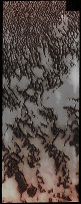 Spring over the North Polar Erg (Absolute Natural Colors; credits for the additional process. and color.: Dr Paolo C. Fienga - Lunar Explorer Italia/Italian Planetary Foundation)
In this VIS image, taken by the NASA - Mars Odyssey Orbiter on December, 1st, 2013, and during its 53.077th orbit around the Red Planet, we can see, once again, the Erg (---> Sea/Ocean of Dunes) that surrounds the North Polar Cap of Mars. It is Springtime, now, at the North Pole (---> in the Northern Hemisphere of Mars) and the Dunes are starting to lose their Frost cover. As the season continues towards Summer, the Dunes will appear darker and darker, as the Frost sublimates. 
Specifically, throughout the accurate observation (and, even more, after the colorization) of the landscape that is shown here, we are able to easily notice that, in this portion of the North Polar Erg (a portion that is positioned a little more towards the South of the Northern Hemisphere - as compared to the Latitude of the Region observed during the 53.076th orbit of the NASA - Mars Odyssey Orbiter), there has been more Frost lost from the Dunes, and this circumstance caused them to appear darker than the Dunes that were shown in yesterday's APOD.

Latitude (centered): 79,990° North 
Longitude (centered): 128,365° East 
Instrument: VIS 

This image (which is an Original Mars Odyssey Orbiter b/w and Map-Projected frame published on the NASA - Planetary Photojournal with the ID n. PIA 17866) has been additionally processed, magnified, contrast enhanced, Gamma corrected and then colorized in Absolute Natural Colors (such as the colors that a human eye would actually perceive if someone were onboard the NASA - Mars Odyssey Orbiter and then looked down, towards the Surface of Mars), by using an original technique created - and, in time, dramatically improved - by the Lunar Explorer Italia Team.
Parole chiave: Mars from orbit - North Polar Regions - The "Erg"