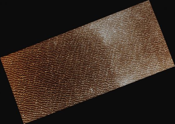 North Polar Erg: Olympia Undae (Absolute Natural Colors; credits for the additional process. and color.: Dr Paolo C. Fienga - Lunexit Team)
Image information: VIS instrument;
Latitude: 81,4° North;
Longitude: 180,6° East (such as 179,4° West);
Resolution: 19 meter/pixel.


Parole chiave: Mars from orbit - North Polar Features - The Erg (Olympia Undae)