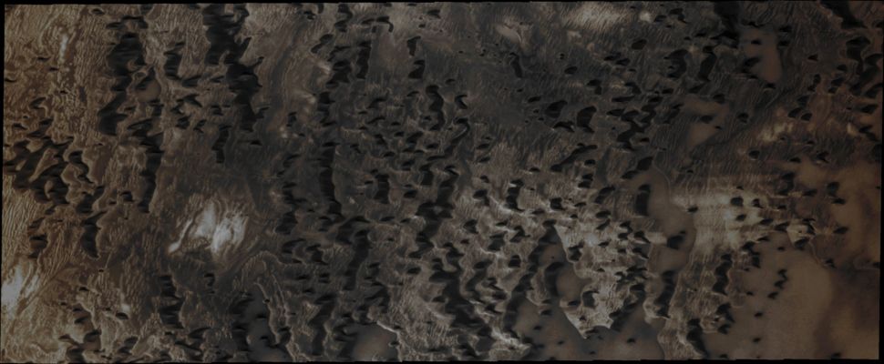 Features of Olympia Undae (Absolute Natural Colors; credits for the additional process. and color.: Dr Paolo C. Fienga/Lunar Explorer Italia/Italian Planetary Foundation)
This NASA - Mars Odyssey Orbiter "VIS" image shows a portion of Olympia Undae, the largest Dunefield near the North Polar Cap. In this Region, the Dunes are spaced far enough apart so to allow us to see the details of the Surface that they are moving across.

Orbit Number: 47095 
Latitude: 79,6934° North 
Longitude: 149,575° East 
Instrument: VIS 
Captured: July, 26, 2012
Parole chiave: Mars from orbit - Olympia Undae Region