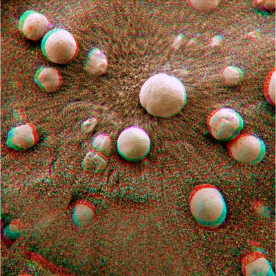 Berries... - Sol 14 (Hi-Def3-D - Natural Colors; credits and Copyright: Dr G. Barca and Lunar Explorer Italia)
nessun commento
Parole chiave: Microscopic Imager - Martian Surface - Berries (3D)