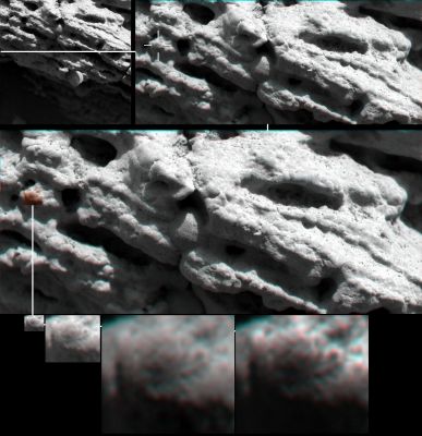 Is this a (Fossilized) Martian "Turtle"?!? - Sol 15 (Hi-Def3-D; b/w - credits and Copyright: Dr M. Faccin and Lunar Explorer Italia)
Il colpo d'occhio davvero eccezionale del Dr Faccin, unito alla sua splendida elaborazione (parzialmente in 3D), ci lascia a bocca aperta: che cosa stiamo guardando? Si tratta, come SEMBRA (enfasi su SEMBRA!), del residuo fossilizzato di una piccolissima tartaruga d'acqua?

Il contesto (Meridiani, e qui anche la NASA è d'accordo, un tempo era un Oceano - sebbene ad acque basse) lascia ben sperare e la forma del rilievo (pareidolia a parte) sembra davvero inequivocabile.

Ovviamente la nostra è una interpretazione provocatoria, poichè (come ovvio) noi non sappiamo (o meglio: nessuno lo sa) che cosa quel rilievo rappresenti effettivamente. 
Il nostro Lavoro - come sapete - consiste nell'esaminare i dati e poi, se e quando troviamo qualcosa di interessante, nel dirVi "guardate che stranezza! Che ne pensate?".

Tutto qui.

E per tornare alla (piccolissima) "Tartaruga Marziana"...Voi che ne pensate?!?
Parole chiave: Microscopic Imager - Martian Surface - Controversial