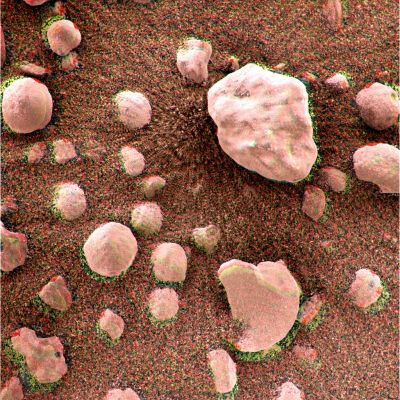 Berries... - Sol 22 (Hi-Def3-D - Natural Colors; credits and Copyright: Dr G. Barca and Lunar Explorer Italia)
nessun commento
Parole chiave: Microscopic Imager - Martian Surface - Berries