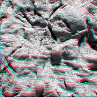 Newborn? - Sol 29 (Hi-Def3-D - credits and Copyright: Dr G. Barca and Lunar Explorer Italia)
nessun commento
Parole chiave: Microscopic Imager - Martian Surface - Berries (3D)