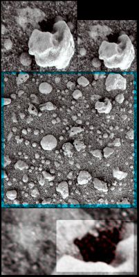 Dark (Organic?) "Matter" under the pebble... - Sol 53 (Hi-Def3-D - credits and Copyright: Dr M. Faccin and Lunar Explorer Italia)
Sembrava a tutti che la "chiazza scura" che vedete al di sotto del sassolino bianco (il più grande del frame - dimensioni: circa 2 cm) fosse una sorta di avvallamento. Un buchetto, insomma.
E invece no: grazie al processing in Super 3D del Dr Faccin, andiamo a verificare e ci accorgiamo che la "macchia", in realtà, è un agglomerato di qualcosa (sembrano dei pallini scuri, tipo caviale...). Un agglomerato che - anche se bisogna dirlo con calma ed a voce molto bassa - sembra essere costituito da materia organica. densa e di colore nettamente diverso e più scuro rispetto al suolo.

Che cosa stiamo osservando?!?
Parole chiave: Microscopic Imager - Martian Surface - Berries (3D) - Controversial