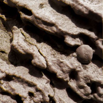 Extremely Unusual Surface Feature - Sol 15 (Superdefinition; credits: Dr G. Barca)
nessun commento
Parole chiave: Microscopic Imager - Possible Fossil - Controversial Feature