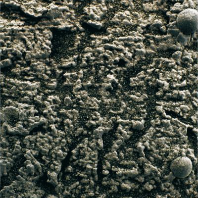 Greenish "dust" or "spores"? - Sol 28 (Superdefinition + MULTISPECTRUM; credits: Dr G. Barca & Lunexit)
nessun commento
Parole chiave: Microscopic Imager - Greenish Soil - Controversial