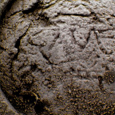 Sponge-like Surface Feature - Sol 33 (Superdefinition + MULTISPECTRUM; credits: Dr G. Barca & Lunexit)
nessun commento
Parole chiave: Microscopic Imager - Controversial Feature