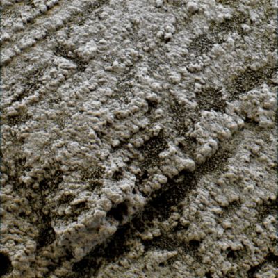 Just Layers or a "Madreporic-like" Rock? - Sol 42 (Superdefinition; credits: Dr G. Barca)
nessun commento
Parole chiave: Martian Surface - Madreporic-like Rock - Controversial