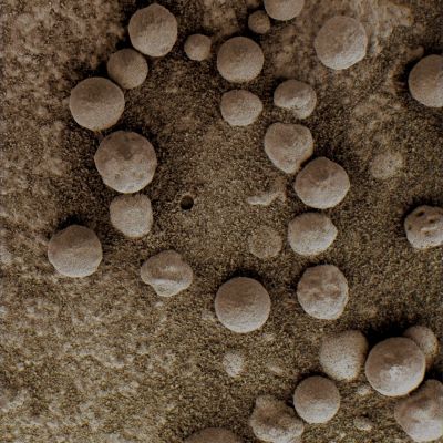 Berryland - Sol 47 (Superdefinition and Absolute Natural Colors; credits for the additional process. and color.: Dr Gianluigi Barca - Lunexit Team)
nessun commento
Parole chiave: Microscopic Imager - Meridiani Planum Surface - Berries