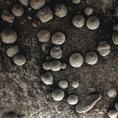 Just "Little Round Rocks"? - Sol 48 (Superdefinition + MULTISPECTRUM; credits: Dr G. Barca & Lunexit)
nessun commento
Parole chiave: Microscopic Imager - Berries