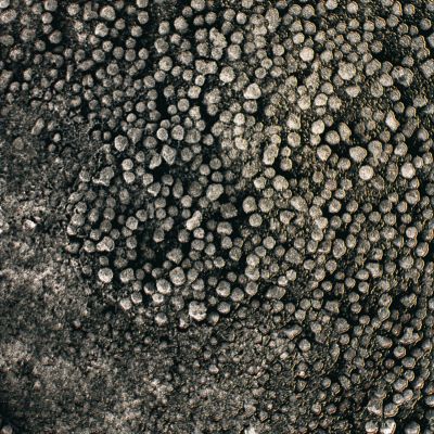 Just "Little Round Rocks"? - Sol 53 (Superdefinition + MULTISPECTRUM; credits: Dr G. Barca & Lunexit)
nessun commento
Parole chiave: Martian Surface - Gray Berries and Greenish Soil near Endurance Crater