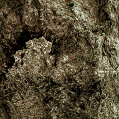 Greenish "dust" or "spores"? - Sol 69 (Superdefinition; credits: Dr G. Barca)
nessun commento
Parole chiave: Microscopic Imager - Greenish Surface - Controversial