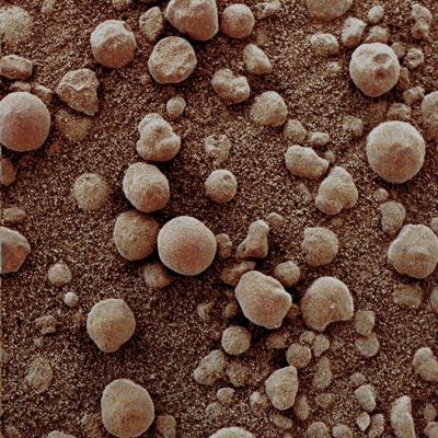 Spherules - Sol 80 (Superdefinition; credits: Dr M. Faccin)
Ci sono volute ore di Lavoro per arrivare a questo tipo di immagine, caratterizzata da una qualità visiva, in termini di definizione e colorazione, largamente superiore a quella che la NASA mette a disposizione del Pubblico.

Vi preghiamo di tenerne conto, mentre la guardate e studiate.

Per quanto attiene il Dr Marco Faccin, non possiamo fare altro che ringraziarlo per quello che ha fatto, che fa e che farà per Lunar Explorer Italia e per tutti i suoi Lettori.
Parole chiave: Microscopic Imager - Martian Surface - Berries