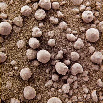 Pebbles and Spherules - Sol 80 (Superdefinition; credits: Dr G. Barca)
nessun commento
Parole chiave: Microscopic Imager - Berries