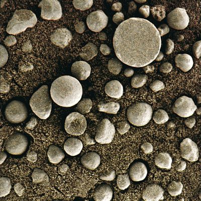 Pebbles and Spherules - Sol 84 (Superdefinition + MULTISPECTRUM; credits: Dr G. Barca & Lunexit)
nessun commento
Parole chiave: Microscopic Imager - Pebbles, Berries and Sand