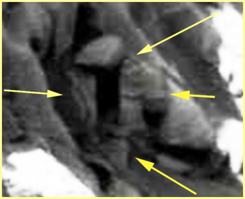 Rectangular Hole on Victoria's Rim - Sol 1019 (extra-detail mgnf; credits: Ivana Tognoloni)
In questa super-magnificazione della zona controversa, le fattezze (incredibilmente regolari) del "buco" si evidenziano in tutta la loro straordinaria bellezza. 

Che dire a questo punto? Come concludere? 

Ebbene, a nostro parere, il fatto di pensare, sia pure usando tutto il pragmatismo possibile, che questa Surface Feature sia l'ennesimo prodotto casuale del lento - ma pur sempre inesorabile - degrado dell'Inner Rim di Victoria potrebbe non essere (se non altro in questa circostanza specifica), la soluzione più corretta.

Il resto...è speculazione pura (ed ognuno può farne quanta ne vuole).

Grandi complimenti ad Ivana Tognoloni che, con questa nuova ed ottima segnalazione, si è definitivamente guadagnata il Diritto di uscire dall'area denominata "Readers' Show and Tell" (un'Area, diciamo così, "Amatoriale"), per entrare nella Gallery dedicata a pieno titolo a Marte (dal Sol 1000 in avanti) ed agli Anomaly Hunters "Professionali".

Bravissima Ivana, e Benvenuta!
Parole chiave: Martian Surface - Craters - Victoria Crater