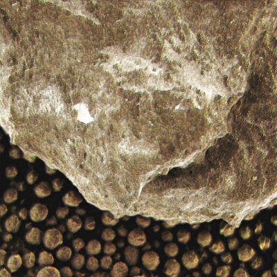 Small Rock on a "Berries' Carpet" - Sol 1045 (Superdefinition + MULTISPECTRUM; credits: Dr G. Barca & Lunexit)
nessun commento
Parole chiave: Microscopic Imager - Berries and a small Rock