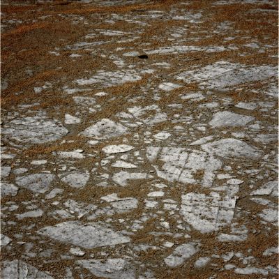 Victoria's Paving - Sol 1094 (True Colors; credits: Dr G. Barca)
nessun commento
Parole chiave: Victoria Crater - Inner Paving