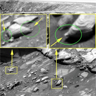 Heads & Tails... - Sol 1095 (CTX Frame - credits: Ivana Tognoloni)
Da qualsiasi parte ci si giri e si guardi, su Marte, sembra che ci sia sempre "Qualcosa" di curioso e, forse, di Esotico, che osserva.

Anche in questo caso, sempre individuato dalla nostra bravissima Ivana Tognoloni, dei rilievi bizzarri - e difficilmente spiegabili usando la Ragione e la Razionalità al 100%- sono davanti a noi ed "esigono" di essere spiegati. 

Ma più si guarda, alle volte, e più non si riesce a vedere...
Parole chiave: Martian Surface - Controversial