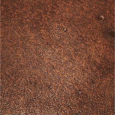 Berries and Pebbles - Sol 1099 (Absolute Natural Colors; credits for the additional process. and color.: Dr Paolo C. Fienga - Lunexit Team)
nessun commento
Parole chiave: Martian Surface - Pebbles