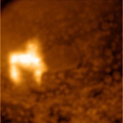 Look at the "Martian Light-Horse"! (3) - Sol 1102
...Perfetto: un "cavallo di luce" assolutamente perfetto...Non Credete?!?
Parole chiave: Microscopic Imager - Martian Soil - Controversial