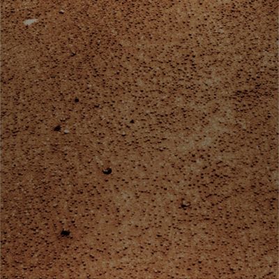 The Texture of Meridiani Planum - Sol 1129 (Natural Colors; credits for the additional process. and color.: Dr Paolo C. Fienga - Lunexit Team)
nessun commento
Parole chiave: Martian Surface - Berries and Pebbles