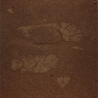 The Texture of Meridiani Planum - Sol 1129 (Natural Colors; credits for the additional process. and color.: Dr Paolo C. Fienga - Lunexit Team)
nessun commento
Parole chiave: Martian Surface - Martian Paving with Berries