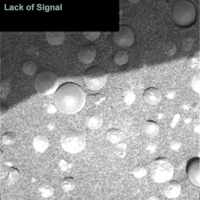 Lack of Signal from Mars...
nessun commento
Parole chiave: Microscopic Imager - Martian Soil - Berries - Controversial