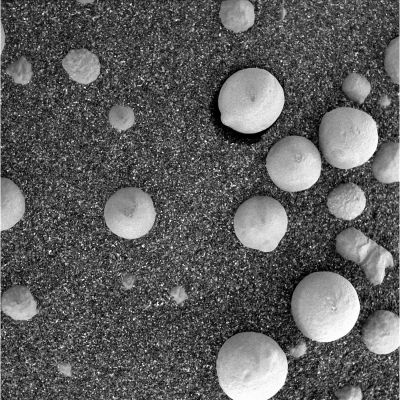 Good Vibrations make the Berries move...Maybe! - Sol 1148
A nostro parere l'evidenza c'è ed è grande: il Martian Berry posto in alto a Dx non è "conficcato" nel terreno. 
Esso, per motivi che non siamo in condizione di individuare (al momento, ma ci stiamo lavorando sopra...), si è leggermente mosso, evidenziando una porzione del "buco" nel quale esso giaceva infossato.

Opera del vento? Non scherziamo: il vento di Marte, per violento che sia, non è in condizione di fare questo tipo di "scherzi".
Opera del Rover? No: Opportunity, che si sappia, non dispone di apparecchiature tali da smuovere con simile precisione e delicatezza un berry di 2 o 3 mm di diametro.
E' il berry che si è mosso da solo? Ipotesi fantastica, ai limiti della fantascienza. Noi non possiamo suffragarla, ma neppure escluderla. Al momento.
Vibrazioni del suolo? Ecco: questa è l'ipotesi che ci piace di più. Ma che tipo di vibrazioni? Dei sismi? O forse degli impatti non lontani da dove il Rover si trova adesso? O forse...
Parole chiave: Microscopic Imager - Martian Soil - Berries - Controversial