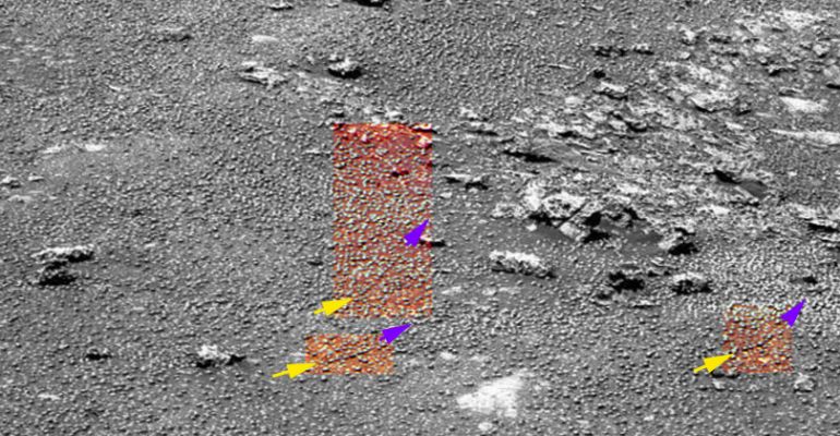 Just like "Chains of Pearls"! - Sol 1160 (EDM - credits: Dr M. Faccin)
La indiscutibile Singolarità che caratterizza la disposizione di innumerevoli "berries" la si può osservare con estrema chiarezza in questo EDM: ci sono, infatti, almeno TRE "Catene di Mirtilli" che caratterizzano i dintorni del piccolo Cratere Secondario che, come si scriveva in sede di commento del CTX Frame, si trova nei pressi del "Gigante" Victoria Crater.

Osservate con attenzione le parti evidenziate e la Singolarità (in senso assoluto) di queste "catene" NON Vi potrà sfuggire.

Detto questo, quale potrebe essere l'origine delle "Catene di Mirtilli Marziani"? A noi vengono in mente - per ora - quattro possibilità:

1) sferule che, spinte dal vento, vanno a posizionarsi lungo le (più marcate ---> rectius: nette e profonde) linee di frattura del suolo (e/o dei Pavimenti Marziani);
2) sferule che appaiono posizionate in sembianza di "catena" solamente a causa dell'angolo di ripresa adottato da Opportunity (ergo si potrebbe trattare di un'illusione ottica o, se preferite, di una "mini Struttura Effimera");
3) sferule in corso di aggregazione (la quale avviene per motivi sconosciuti);
4) sferule che "assecondano" le linee disegnate da campi di forza di modesta e/o modestissima entità, i quali si generano solamente in alcune zone della Superficie di Meridiani - p.e.: a causa dell'esistenza di Anomalìe Magnetiche di portata medio-bassa (un fenomeno, questo, che noi sappiamo esistere, oltre che sulla Terra, anche sulla Luna).

Commenti.

A nostro modo di vedere, la sistemazione delle sferule è TROPPO regolare, in questi casi, per far pensare ad un semplice effetto ottico e l'idea secondo cui esse potrebbero disporsi lungo le più marcate linee di frattura esistenti nel suolo (conoscendo la caratterizzazione dominante della Superficie di Meridiani) è troppo riduttiva.
L'ipotesi di "aggregazione" (spontanea?) delle sferule è eccessivamente esotica e del tutto insostanziabile.
L'idea, invece ed infine, che le "Catene di Mirtilli" possano costituire l'espressione visibile della verificazione di fenomeni di magnetizzazione (e non dimentichiamo il possibile ruolo recitato a questo riguardo dai Venti Marziani, secchi e violentissimi!), a noi non dispiace. 
Certo, adesso ci sarebbe da iniziare a discutere del "materiale" di cui le sferule sarebbero costituitee del motivo (o dei motivi) per cui ALCUNE si "aggregano" ed ALTRE "NON si aggregano" ma, almeno per il momento, ci fermiamo qui.

Questo frame è solo uno spunto di discussione e di riflessione.

E Voi? Che ne pensate? Sviste o Campi Magnetici? Aggregazioni o semplici allineamenti dovuti all'azione del vento ed alla peculiare conformazione del terreno su cui le sferule poggiano?

Se avete delle idee, scrivetele: a volte, l'intuizione corretta (e decisiva) parte proprio dal confronto fra le ipotesi più eterogenee e controverse...
Parole chiave: Martian Surface - Craters - proximities of Victoria Crater