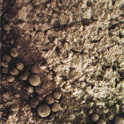 Berries and "Greenish" Dust - Sol 1168 (Superdefinition + MULTISPECTRUM; credits: Dr G. Barca & Lunexit)
nessun commento
Parole chiave: Microscopic Imager - Berries