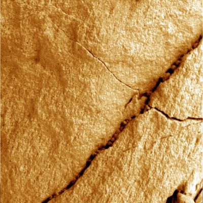 "Newborn" Berries in the crack? - Sol 1176 (False Colors; credits: Lunexit)
Nella crepa (crack) di questa roccia (che - presumiamo - potrebbe anche essere una porzione della Pavimentazione Marziana più prossima ad Opportunity) si distinguono piuttosto chiaramente dei Martian Berries. L'ipotesi tradizionale (e, sicuramente, la più accreditata) ci dice che si tratta di mini-berries (ossìa di sferule rocciose appena più grandi dei granelli di sabbia che potremmo trovare su qualsiasi spiaggia terrestre) i quali, trasportati/spinti dal vento, sono rimasti intrappolati nelle fenditure delle rocce e pavimentazioni vicine al margine di Victoria Crater. Sarà andata realmente così? 
Forse. O forse no.
Ci piacerebbe capire, infatti, per poter rispondere adeguatamente, se questa crepa che vediamo è effettivamente una crepa, oppure se si tratta di una fenditura la quale congiunge la superficie di Marte ad un (probabilmente molto attivo, caldo e, forse, in parte vitale) sottosuolo. 
Insomma, la nostra (esotica, lo ammettiamo) domanda è: questi "berries" si sono infilati nella crepa dall'esterno (ribadiamo, poichè spinti dal vento e/o da altre forze che appartengono all'ambiente marziano "aperto"), oppure essi stanno fuoriuscendo dall'interno della roccia?

Pensateci anche Voi...
Parole chiave: Microscopic Imager - Martian Paving - Berries - Controversial