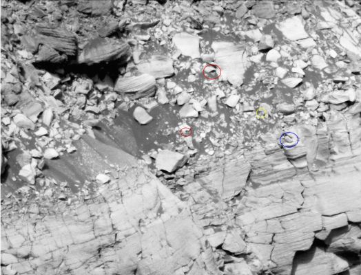 What's in the Walls of Victoria? - Sol 1213
Un bellissimo lavoro di scoperta, intuizione ed immaginazione del nostro Caro Amico (ed ormai Socio Storico) Lorenzo Leone. Lasciamo quindi che sia lui a parlare ed a suggerirci qualche possibile (e plausibile) interpretazione circa i "Segreti di Marte" (in generale) e di "Victoria Crater" (in particolare)...

"Ancora una volta un gioco di luci ed ombre? Chi può saperlo...Quello che io so è che Marte affascina sempre. Con i suoi colori, la sua geologia ignota e bizzarra.
Nel cerchio blu un possibile fossile; i cerchi rossi evidenziano rilievi circolariformi che sembrano lavorati a mano. Nel cerchio giallo troviamo inconsueti e perfetti angoli di 90° ma...Sappiamo che la Natura non ha né limiti, né confini.
Certo analizzando le cose dal un punto di vista logico e statistico, potremmo dire (sempre e comunque) che tutto è solo un gioco di luci, ombre e oggetti dalla forma bizzarra...Ma se si catalogassero tutte le rocce apparentemente "strane", forse non basterebbero 10 grossi volumi!

Noi, come sempre, possiamo solo ipotizzare, supporre, investigare, a volte sognare (che male non fa...) in attesa di una risposta o di una soluzione concreta.

Speriamo di esserci per quel giorno...".

Parole chiave: Victoria Crater - Inner Wall