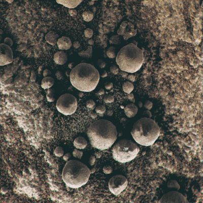 Big-Ones and Small-Ones... - Sol 1216 (Superdefinition + MULTISPECTRUM; credits: Dr G. Barca & Lunexit)
nessun commento
Parole chiave: Microscopic Imager - Berries