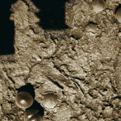Mushrooms and greenish dust - Sol 124 (Superdefinition; credits: Dr Gianluigi Barca)
nessun commento
Parole chiave: Microscopic Imager - Berries - Controversial