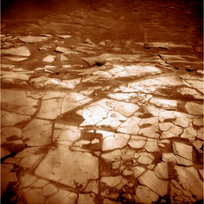 From inside Victoria: the Beautiful Martian Paving (again!) - Sol 1298 (False Colors; credits: Lunar Explorer Italia)
Allora "Il Dado è tratto!": Opportunity ha iniziato a scendere nel grande Cratere Victoria, alla ricerca di "clues" sul passato di questa zona di Meridiani e sulla effettiva natura del rilievo che tanto ha colpito l'immaginario nostro e quello della NASA. In primo luogo, guardiamo subito il Martian Paving di Victoria e lo mettiamo a confronto con quello di Endurance: differenze ed affinità. La sensazione (poichè, per ora, si può solo parlare di sensazione) è che i due crateri potrebbero essere appartenenti alla Classe dei "Twin Craters" (o "Crateri gemelli"); si tratterebbe, quindi, di crateri aventi la medesima età e la medesima configurazione superficiale (oltre che la medesima origine). L'unica differenza visibile, per ora (ed a parte la dimensione), è nel quantitativo di ejecta boulders e di secondary craters presenti nei dintorni dei due rilievi: la porzione di superficie esistente nei pressi di Victoria, infatti, è molto più "mossa" delle prossimità di Endurance. 
Parole chiave: Martian Surface - Victoria Crater - Inner Rim - Paving