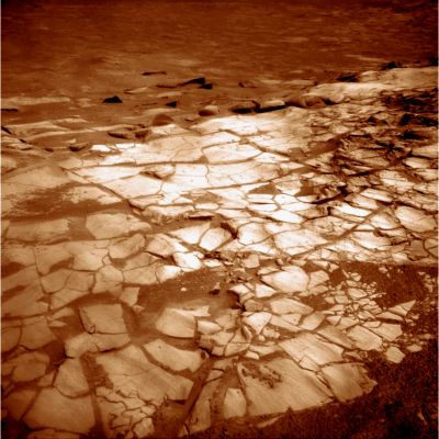 From inside Victoria: the Beautiful Martian Paving (again!) - Sol 1298 (False Colors; credits: Lunar Explorer Italia)
Come mai? Probabilmente il motivo maggiore deve essere ricondotto alla diversa dimensione, struttura e composizione dell'impactor che creò i due Crateri (se crediamo che si tratti, in entrambi i casi, di crateri da impatto). Se invece la Teoria dei Crateri da Impatto non piace, allora potremmo anche trovare diverse spiegazioni al perchè i dintorni di Victoria sono alquanto "mossi" mentre i dintorni di Endurance non lo sono.

Ma ne parleremo - forse - in futuro.

Per adesso speriamo solo che l'idea di far entrare Opportunity all'interno di Victoria non sia stata - come noi temiamo - un'idea davvero pessima...
Parole chiave: Martian Surface - Victoria Crater - Inner Rim - Paving