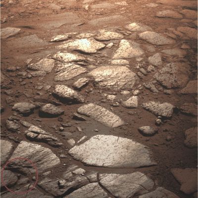 The "Inner Paving" and the "Red Sands" of Victoria - Sol 1339 (red-orange filter ON - possible natural colors - elab. Lunexit)
nessun commento
Parole chiave: Victoria Crater - Inner Paving