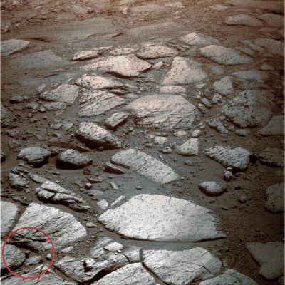 Unusual Surface Feature inside Victoria Crater (context frame - MULTISPECTRUM) - Sol 1339
Nella Cerchiatura Rossa, individuata dal Dr Gianluigi Barca (che salutiamo con grande affetto!) una curiosa surface feature.
Nessuna Anomalìa, ovviamente: solo una "stranezza", che vale la pensa di guardare.
Parole chiave: Victoria Crater - Inner Paving and unusual surface feature