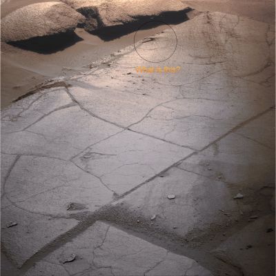 Victoria's Paving and VERY unusual surface feature (natural colors; elab. Lunexit) - Sol 1351
Il dettaglio cerchiato potrebbe - forse - ricordare i "Razorblades", ma si differenzia sostanzialmente da essi in quanto la forma in oggetto non si risolve in un semplice rilievo "lamellare", ma in un qualcosa di assai più articolato e complesso. 
Istintivamente, si potrebbe anche pensare a qualcosa di "conficcato" nel Paving di Victoria (!) e non ad un particolare anomalo del Paving stesso, ma la nostra - per ora mera - sensazione, è che si tratti del residuo fossile di un corpo che, un tempo, era appiccicato al Paving (una sorta di "anemone" o un'"alga"?).

Ma si tratta solo di speculazioni, come ovvio.
Parole chiave: Victoria Crater - Inner Paving and unusual surface feature