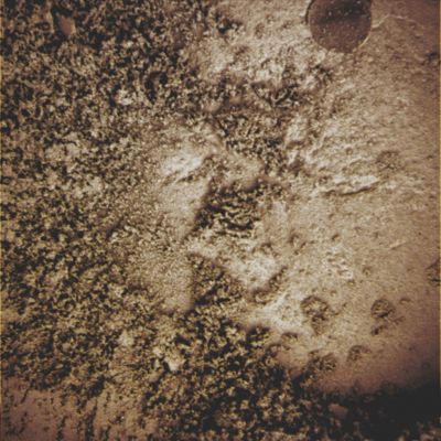 Greenish "dust" or "spores"? - Sol 139 (Superdefinition + MULTISPECTRUM; credits: Dr G. Barca & Lunexit)
nessun commento
Parole chiave: Microscopic Imager - Greenish Soil, Sand and Dust - Controversial