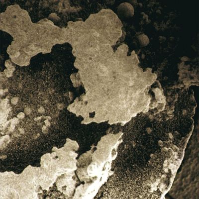 "Shedding" Surface... - Sol 1457 (Superdefinition + MULTISPECTRUM; credits: Dr G. Barca & Lunexit)
Un pizzico di ironia per un rilievo superficiale indefinibile (to shed ----> cambiare pelle, rinnovare il pelo).
Parole chiave: Microscopic Imager - Berries and bizarre thin layers of soil