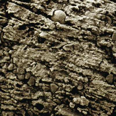 Seeing the Light! - Sol 151 (Superdefinition; credits: Dr G. Barca)
Un frame davvero MOLTO intrigante, che ci spinge ancora una volta a domandarci se i Martian Berries sono effettivamente dei "minerali"...
Parole chiave: Microscopic Imager - Berries - Controversial