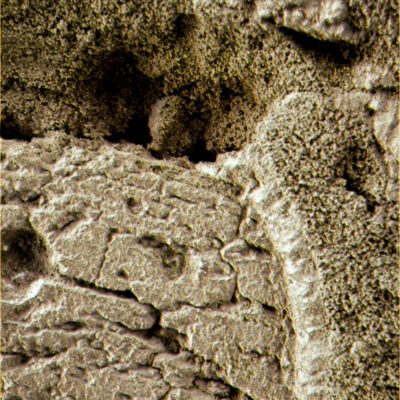 Greenish "dust" or "spores"? - Sol 152 (Superdefinition; credits: Dr G. Barca)
nessun commento
Parole chiave: Microscopic Imager - Greenish Soil - Controversial