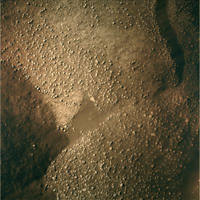 Partially Disturbed Soil - Sol 1523 (MULTISPECTRUM; credits: Lunexit)
nessun commento
Parole chiave: Martian Surface - Sand, Dust and Berries