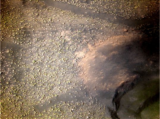 Greenish "soil" inside Victoria - Sol 1527 (Superdefinition; credits: Dr M. Faccin)
nessun commento
Parole chiave: Martian Surface - Gray Berries and Greenish Soil inside Victoria Crater