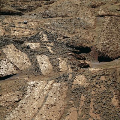 Endurance Berries... - Sol 155 (MULTISPECTRUM; credits: Lunexit)
nessun commento
Parole chiave: Martian Surface - Berries